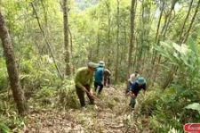 Động lực để bảo vệ khu rừng đặc dụng và khu bảo tồn thiên nhiên