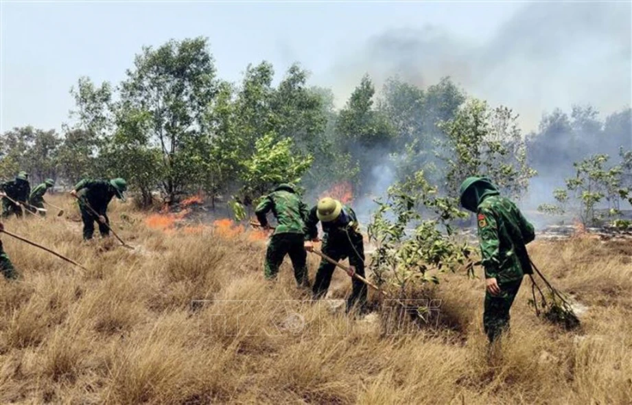 Quảng Bình tăng cường phòng, chống cháy rừng