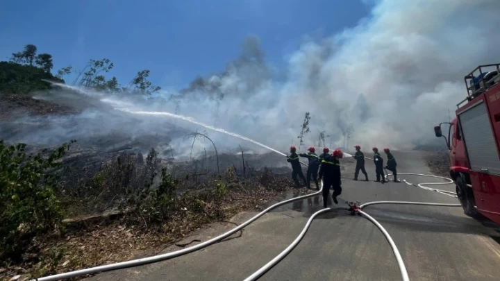 Đà Nẵng khống chế vụ cháy rừng gần nghĩa trang thành phố