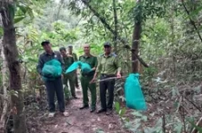 Gia Lai quyết liệt ngăn chặn phá rừng