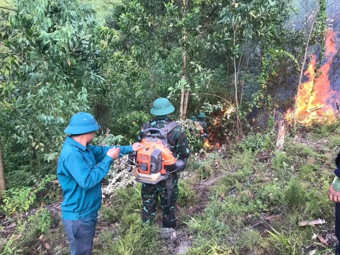 Sét đánh gây cháy rừng ở Thiên Nhẫn