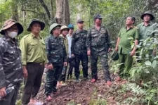 Gia Lai: Phát huy sức mạnh tổng hợp để quản lý, bảo vệ rừng