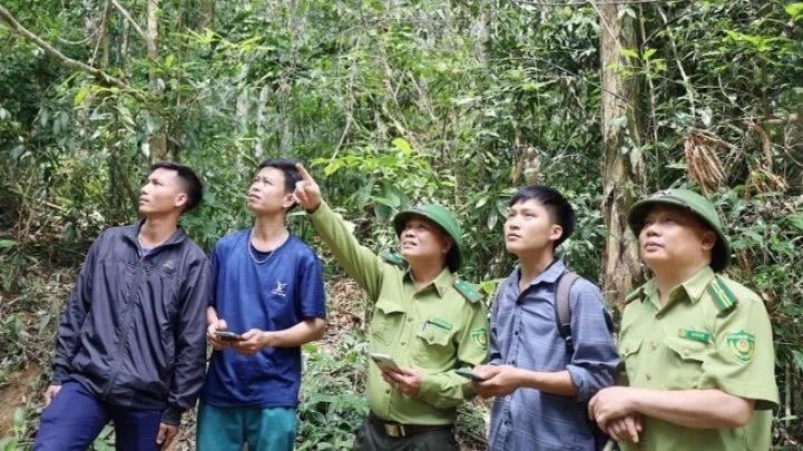 Tăng cường tuyên truyền công tác phòng cháy chữa cháy rừng