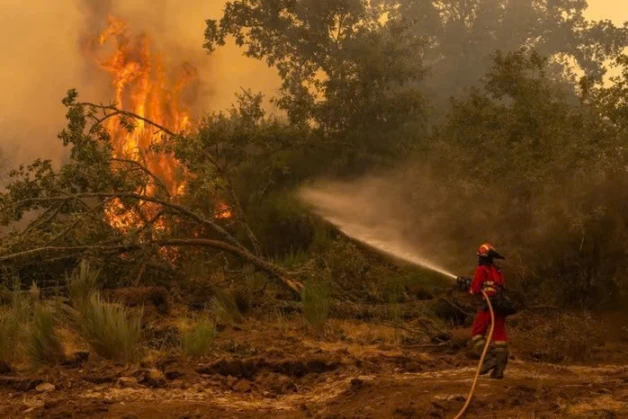 Nắng nóng, cháy rừng hoành hành ở châu Âu