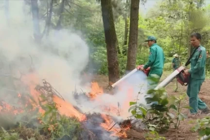 Hà Nội chủ động phòng cháy rừng mùa nắng nóng