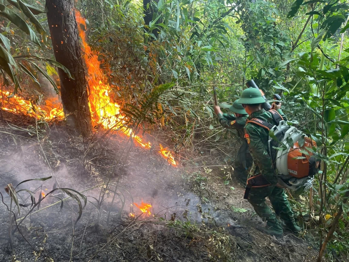 Cháy rừng phòng hộ ở khu vực Đèo Ngang