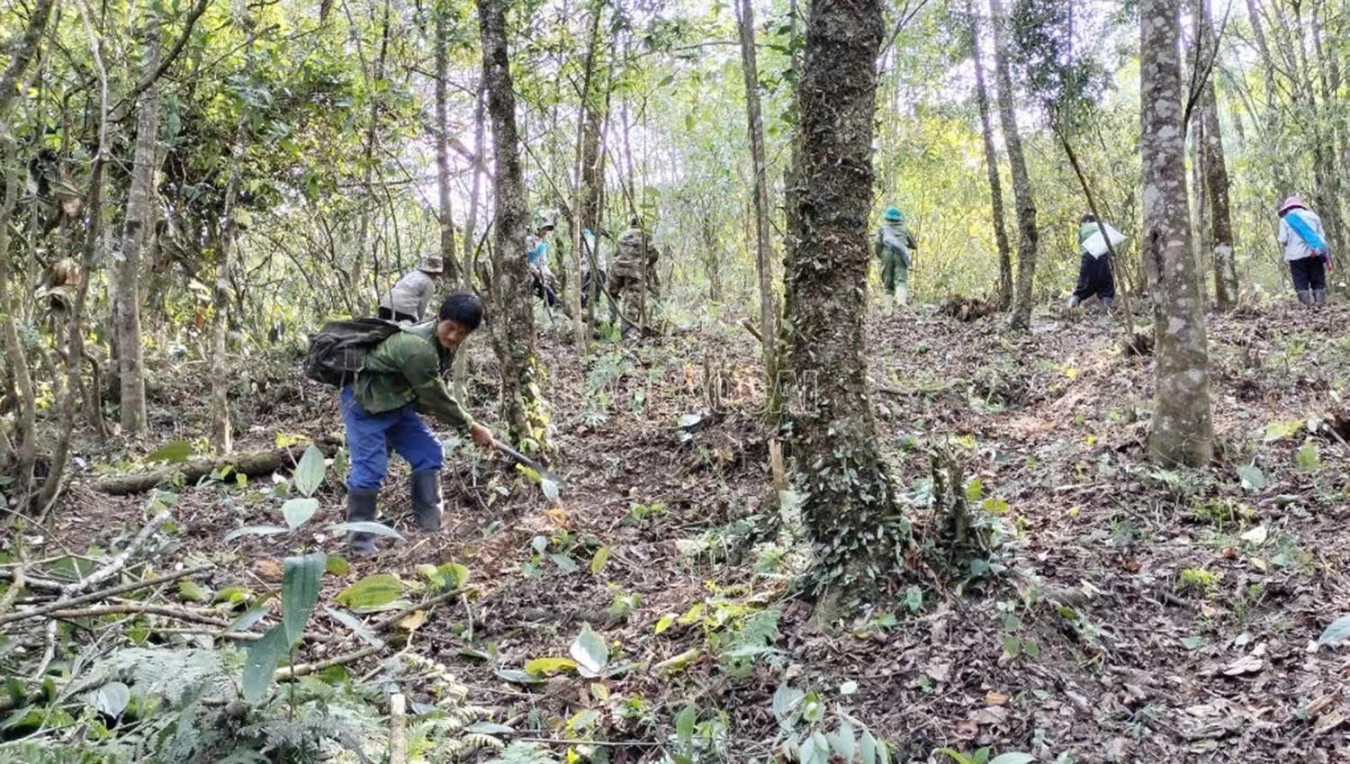 Tập trung thực hiện giải pháp phòng cháy, chữa cháy rừng