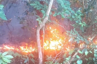 Quảng Trị: Khẩn trương dập tắt vụ cháy rừng trên đèo Ngang